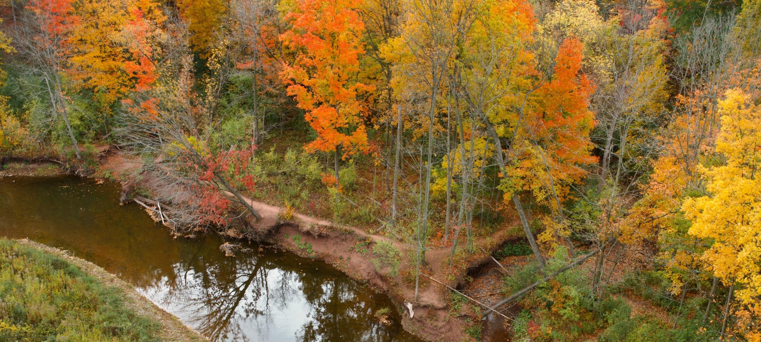 Autumn trees at the Sixteen Mile Creek in Milton and Oakville, ON