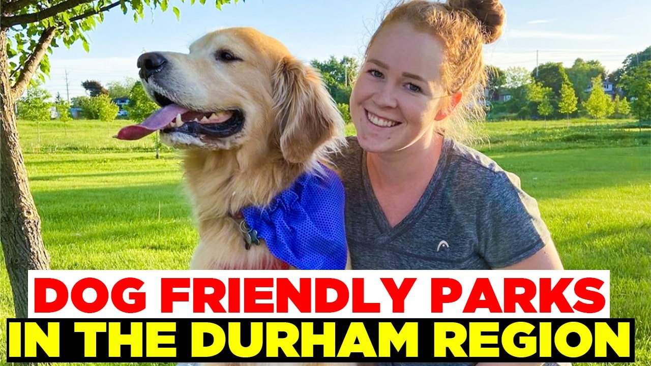 Girl with a dog in a dog-friendly park in the Durham Region of Ontario